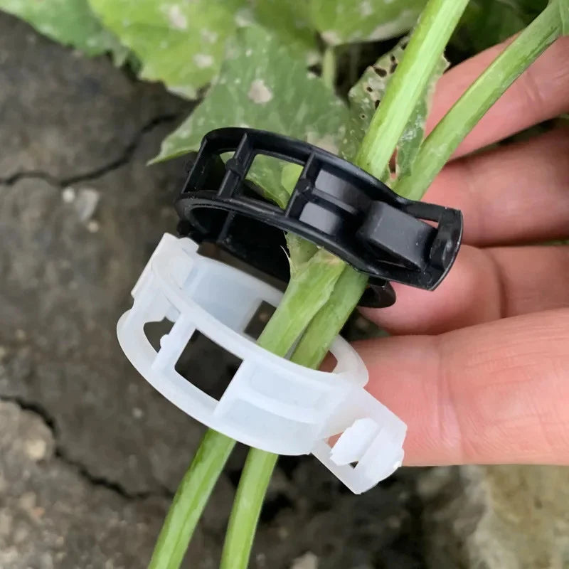 Garden Clips for Plant Support and Grafting.