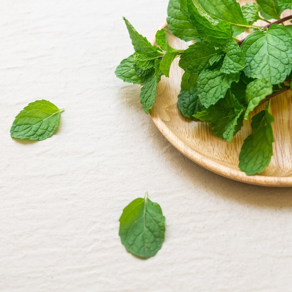 Peppermint Seeds.