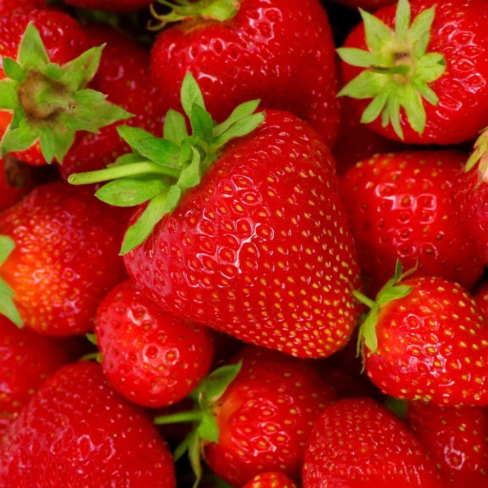 Semilla de Fresa Real • Gardenizi