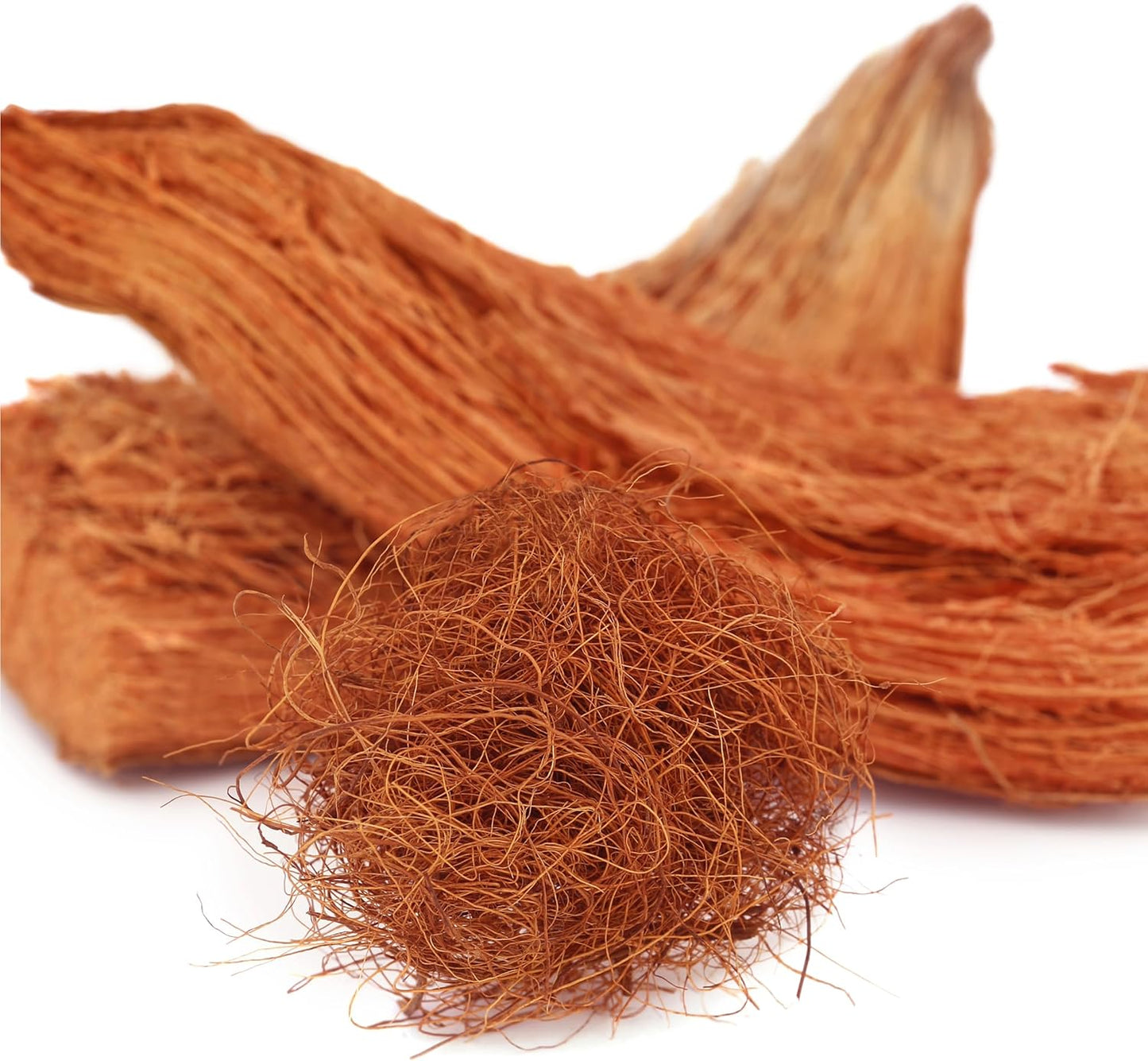 Organic Coconut Coir • Gardenizi