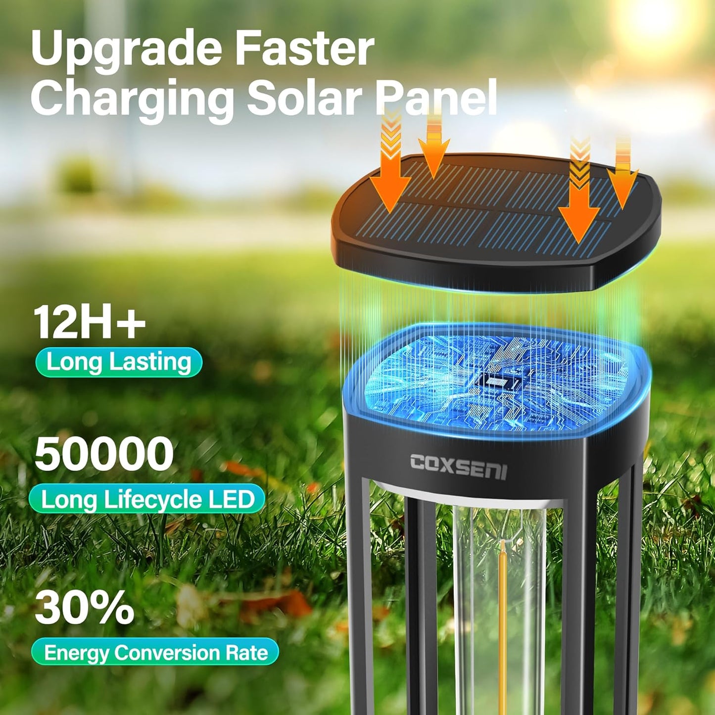 Bright Solar Pathway Lights Outdoor