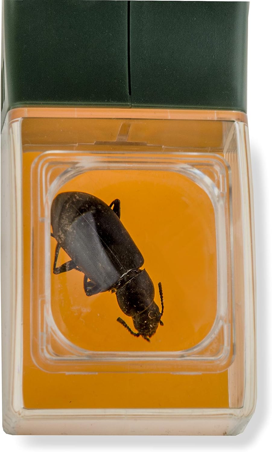 Herramienta de Captura de Insectos de Liberación Rápida BugView • Gardenizi