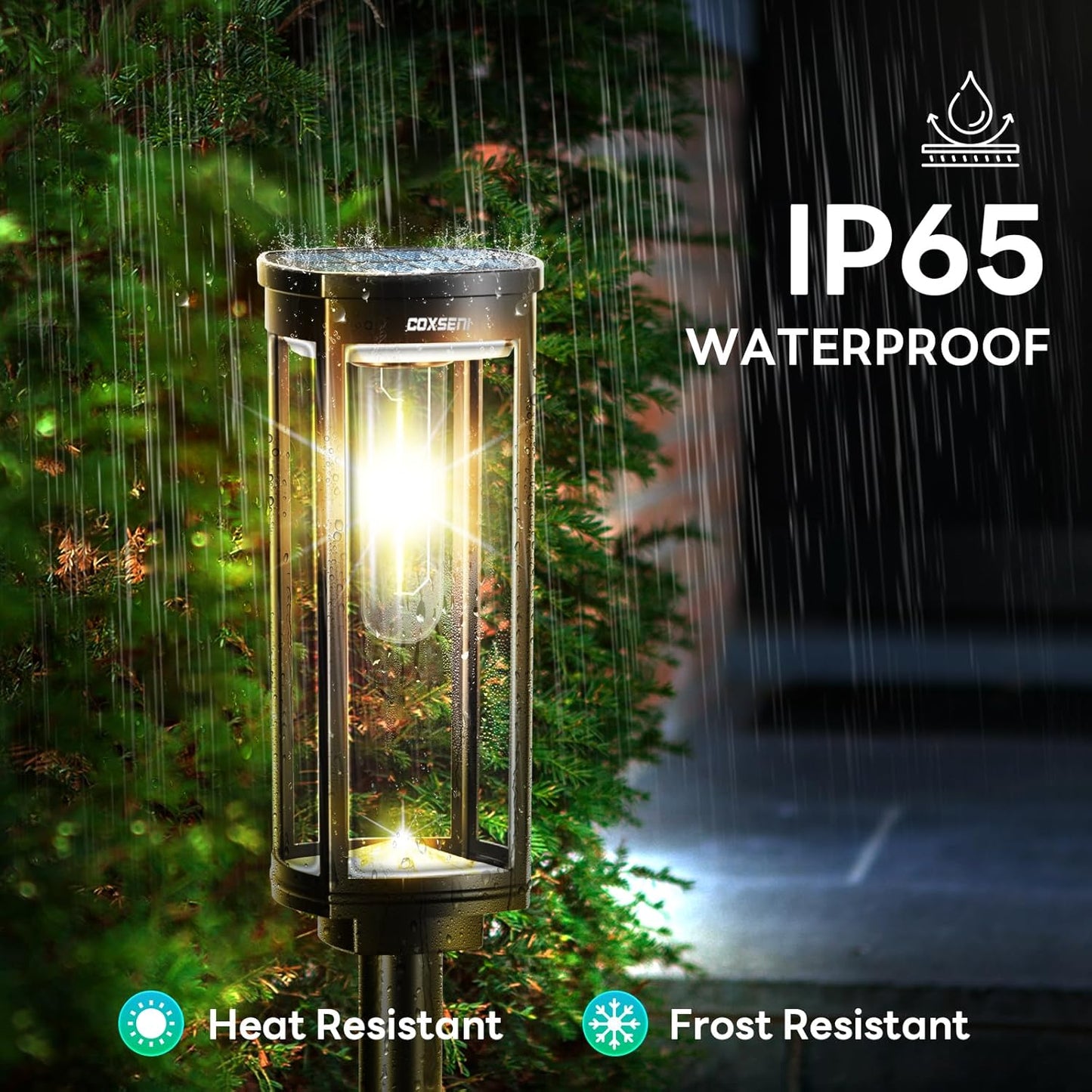 Bright Solar Pathway Lights Outdoor