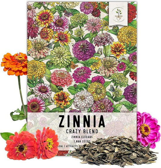 Semillas de Zinnia