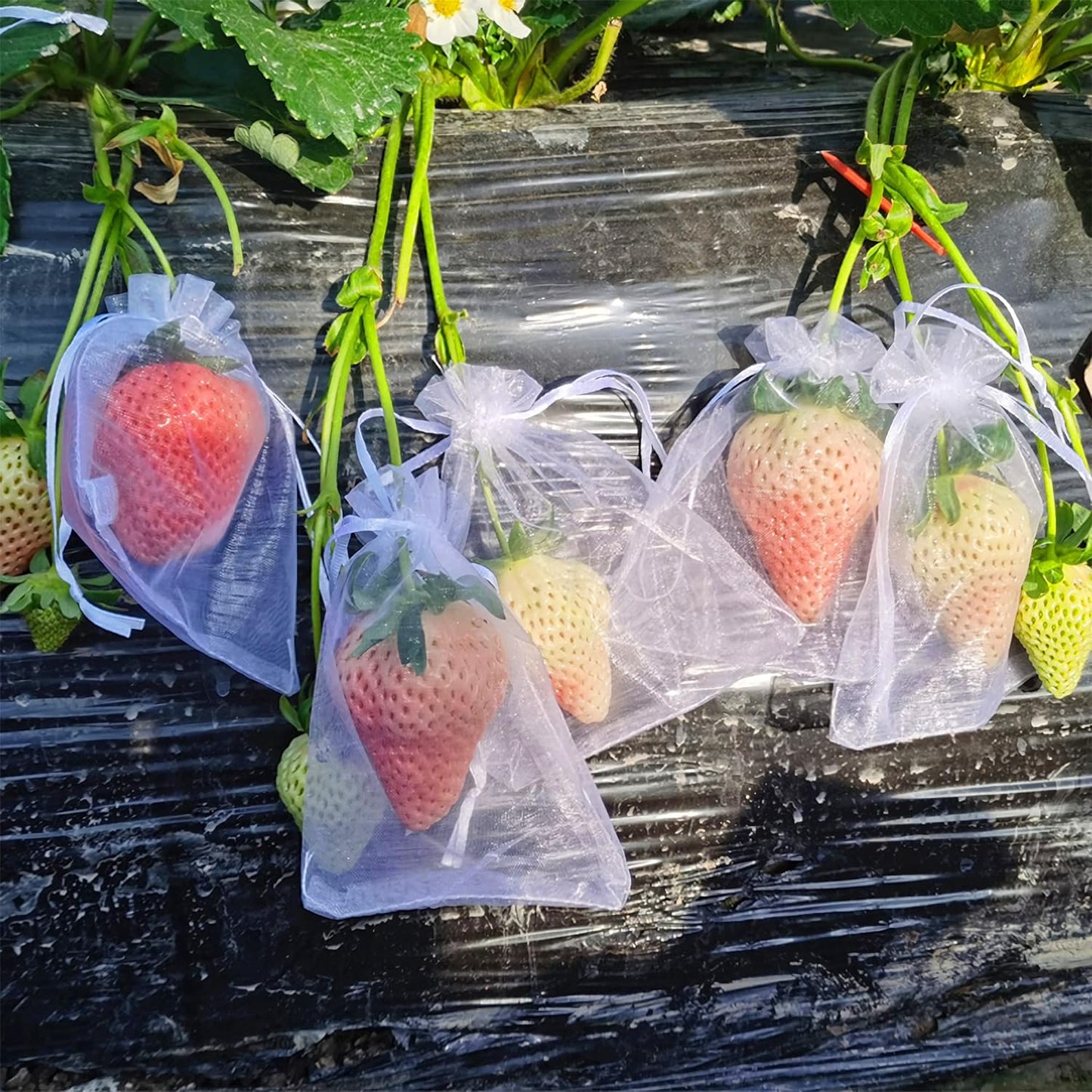 Bolsas de Malla para Frutas con Cierre de Cordón