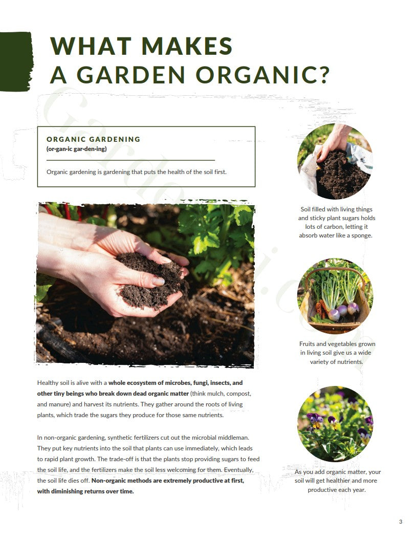 Ebook - Guía del Primer Jardín Orgánico • Gardenizi