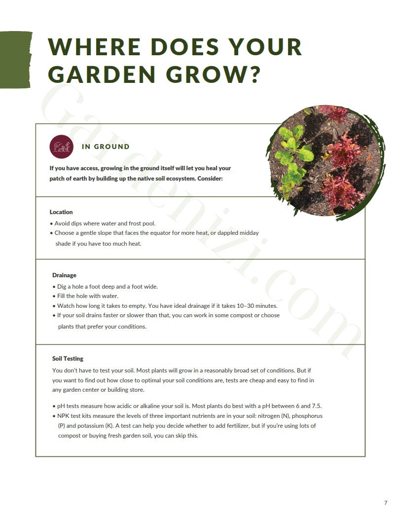 Ebook - First Organic Garden Guide • Gardenizi