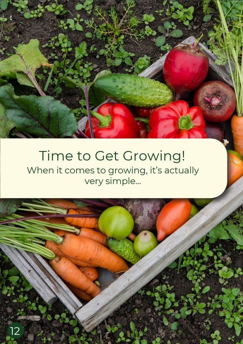 Ebook - Gardening on a Budget • Gardenizi
