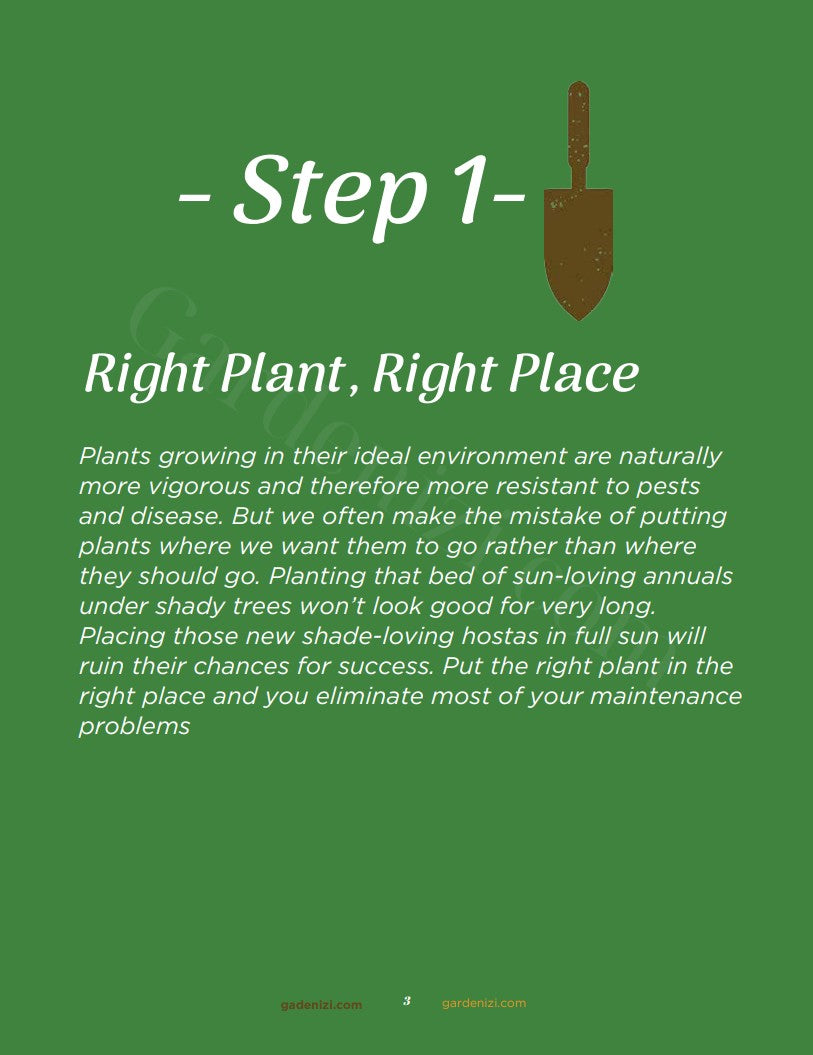 Ebook - 5 Pasos Para Tu Mejor Jardín De Todos Los Tiempos • Gardenizi