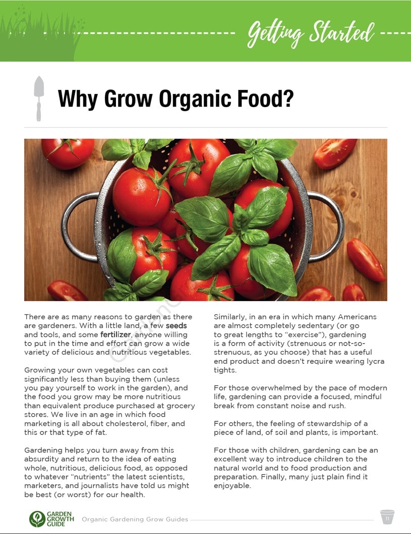 Ebook Guías de Cultivo de Jardinería de Verduras Orgánicas | Ebook Gardenizi