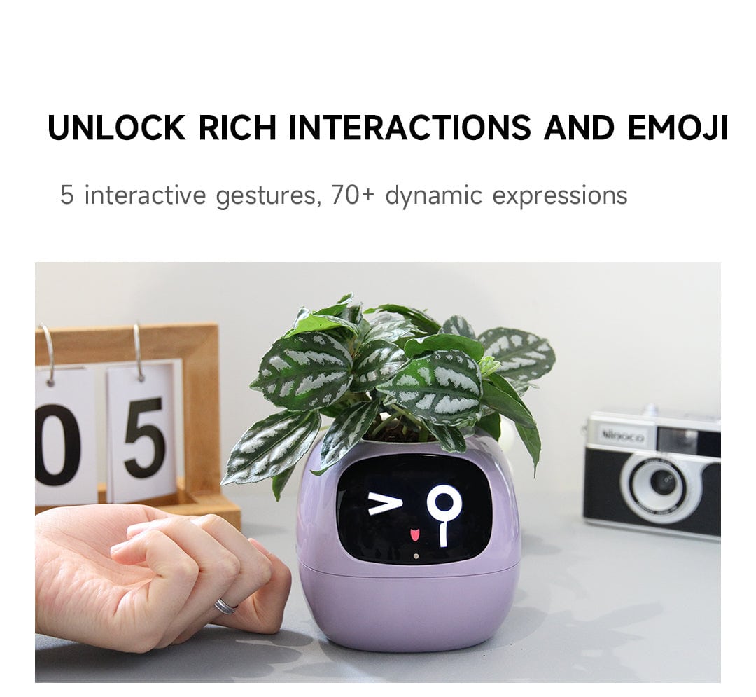 Maceta Inteligente AI | Gardenizi