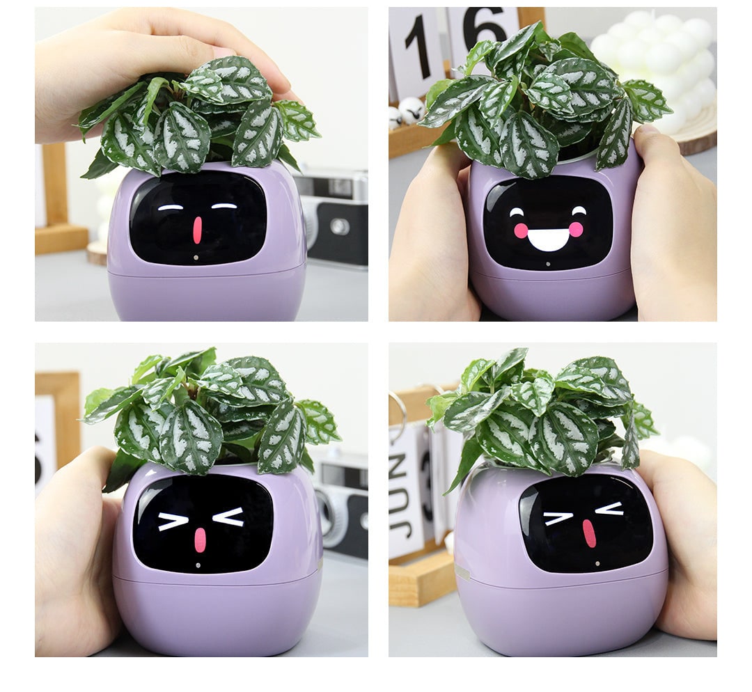 Maceta Inteligente AI | Gardenizi