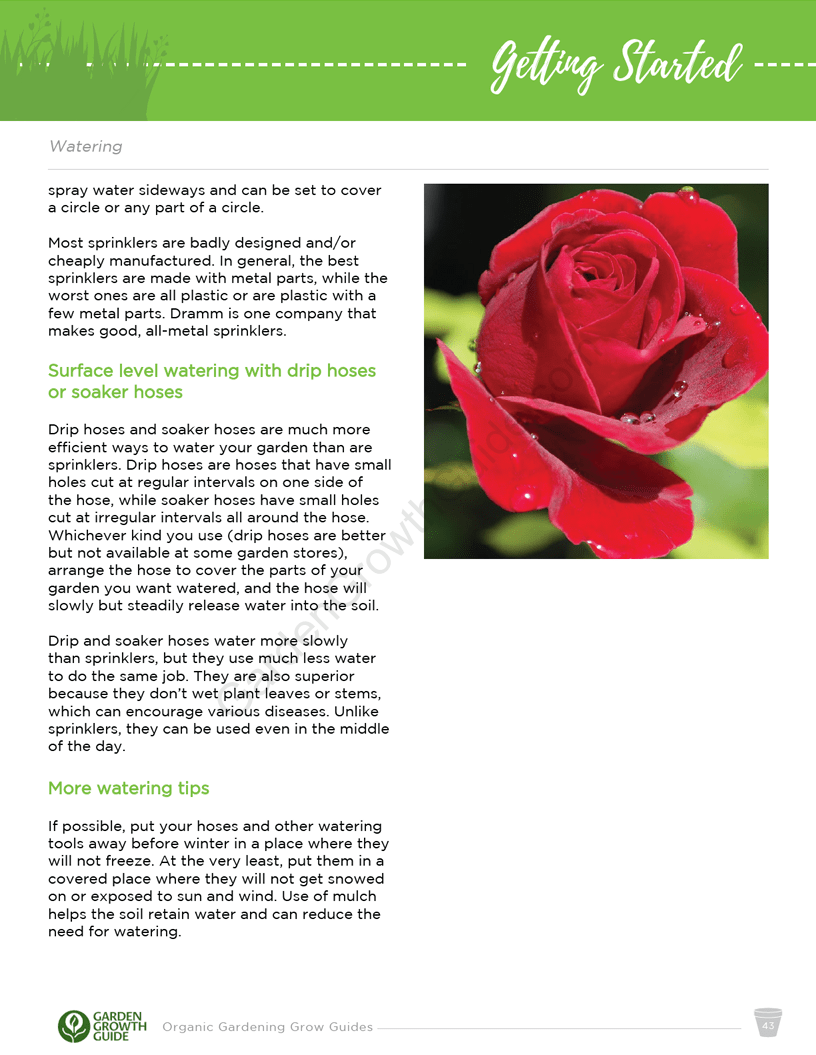 Ebook Guías de Cultivo de Jardinería de Verduras Orgánicas | Ebook Gardenizi