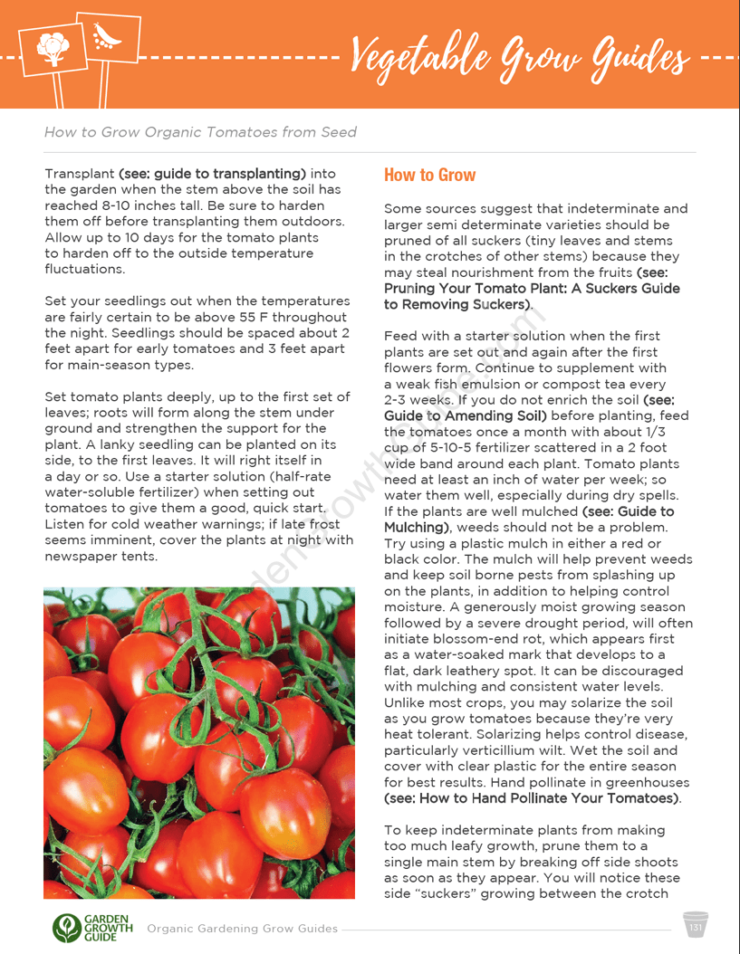 Ebook Guías de Cultivo de Jardinería de Verduras Orgánicas | Ebook Gardenizi