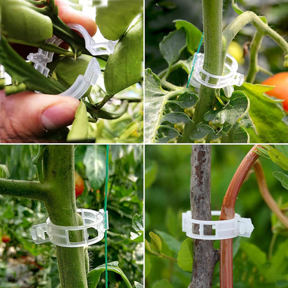 Garden Clips for Plant Support and Grafting.