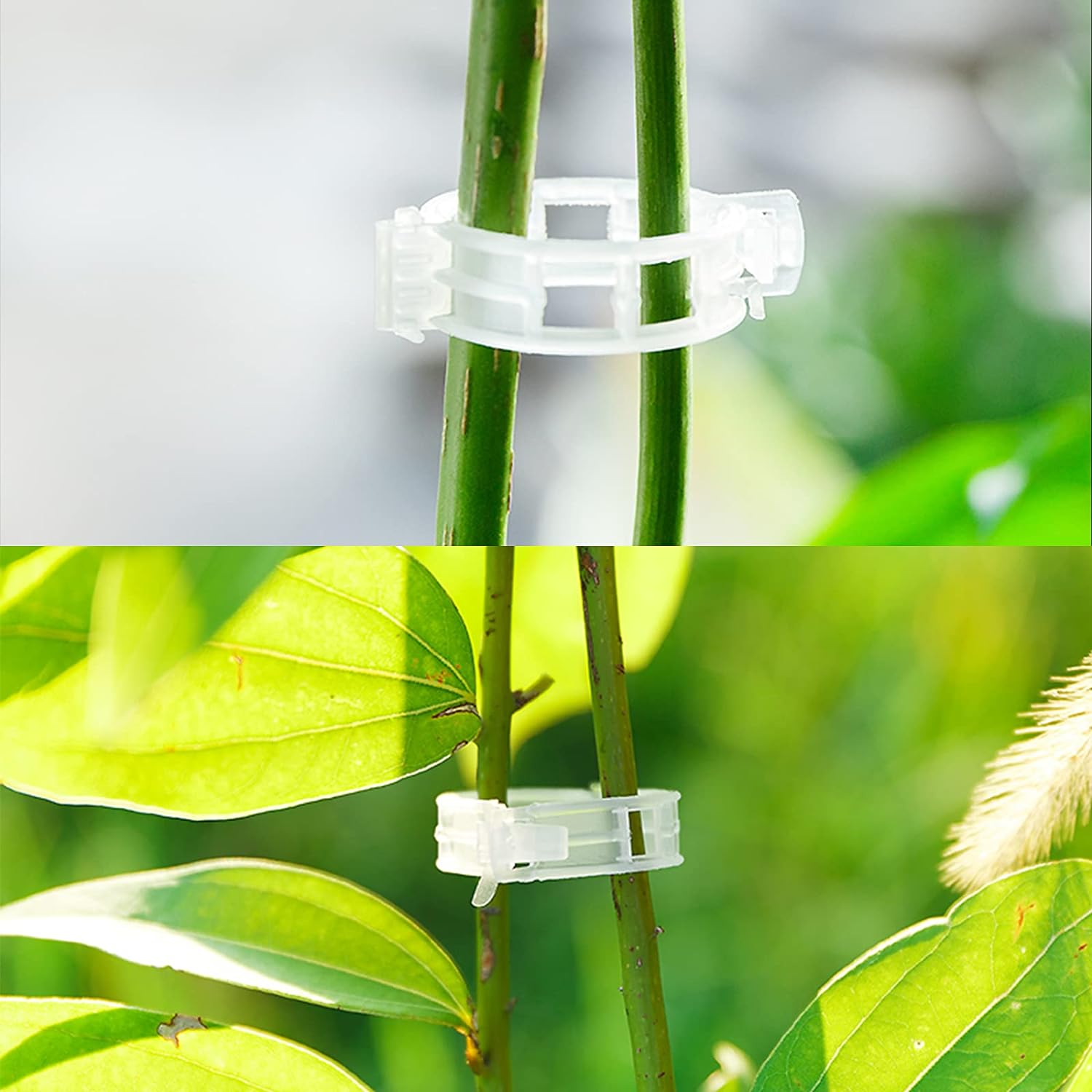 Garden Clips for Plant Support and Grafting.