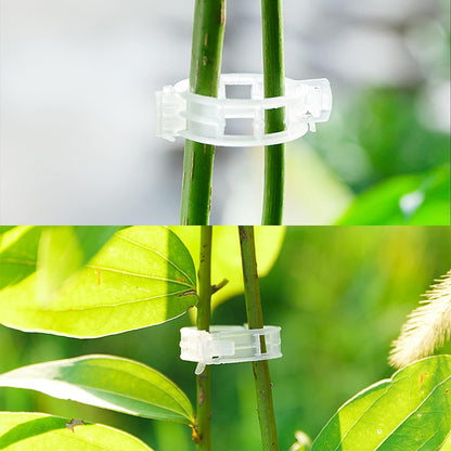 Garden Clips for Plant Support and Grafting.