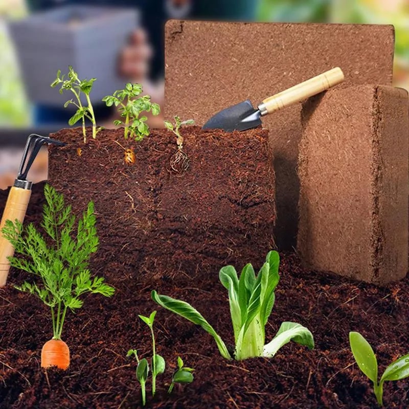 Organic Coconut Coir • Gardenizi
