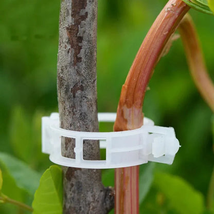 Garden Clips for Plant Support and Grafting.