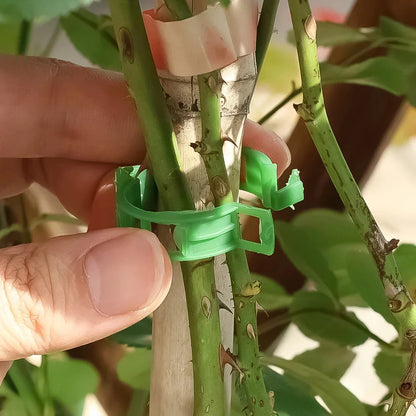 Garden Clips for Plant Support and Grafting.