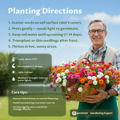 Semillas de Rosa Musgo (Mezcla)