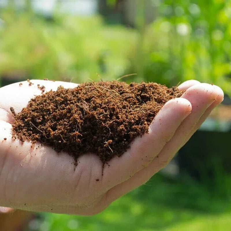 Organic Coconut Coir • Gardenizi