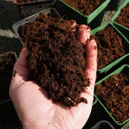 Organic Coconut Coir • Gardenizi