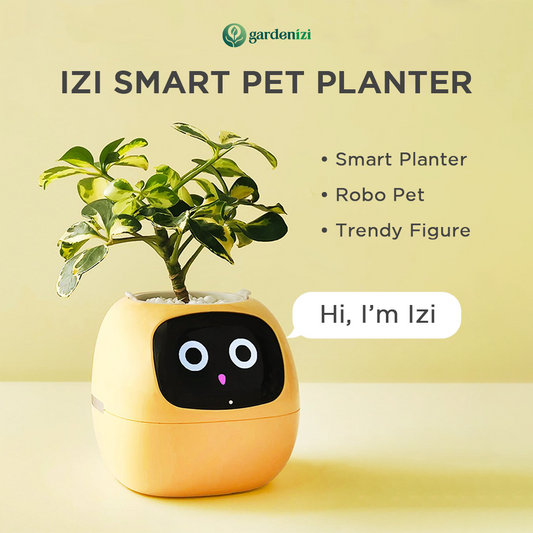 AI Smart Flowerpot | Gardenizi