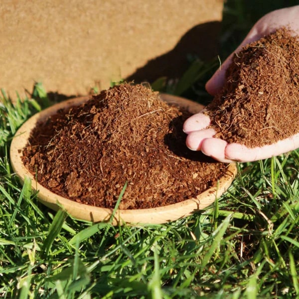 Organic Coconut Coir • Gardenizi