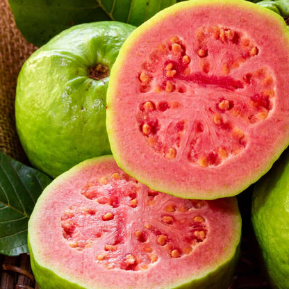 Pink Guava Seeds • Gardenizi