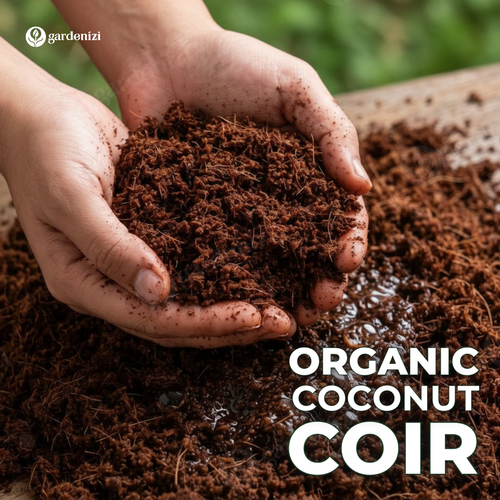 Fibra de Coco Orgánica • Gardenizi