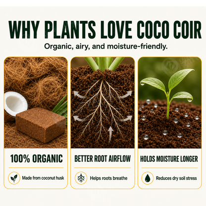Fibra de Coco Orgánica • Gardenizi