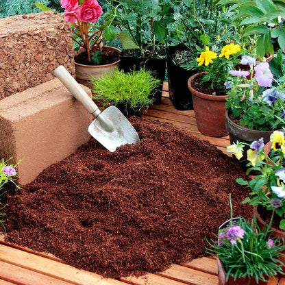 Organic Coconut Coir • Gardenizi