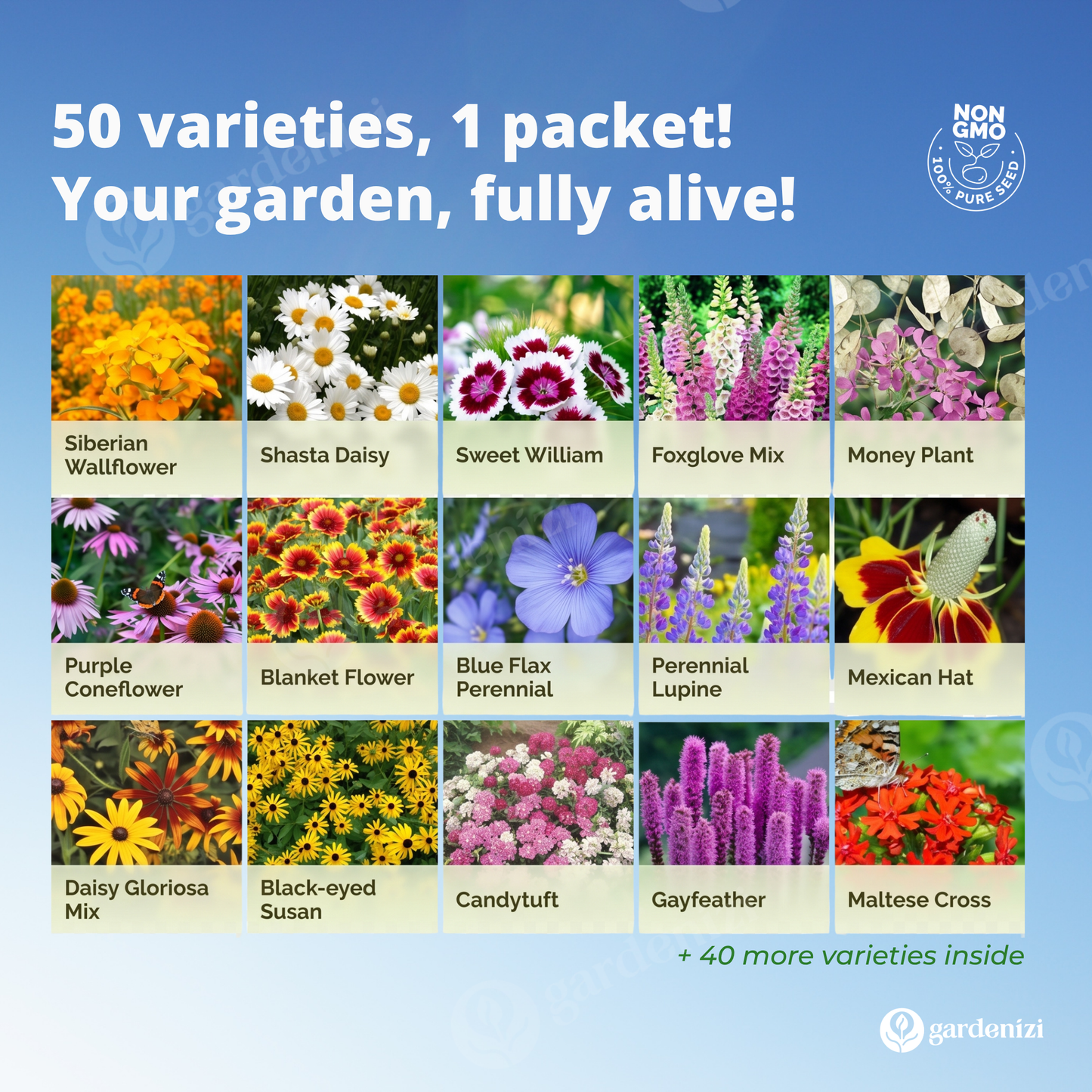 Semillas de Flores Silvestres Mixtas